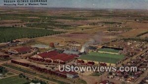 Texsun Citrus Exchange - Weslaco, Texas TX  