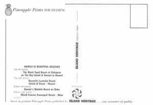 Hawaii, World Famous Beach - 