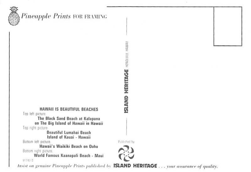 Hawaii, World Famous Beach - 