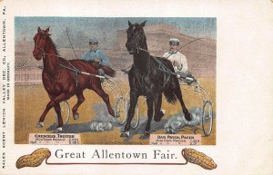 Allentown PA Dan Patch Great Allentown Fair Vintage Postcard