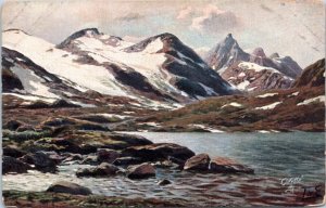 Postcard Norway Tuck 7079 The Tyin Lake