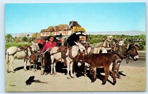 ORVILLE EWING Famous TRAVELER & ARTIST & His COVERED WAGON c1950s Postcard