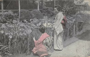 Hand colored Horikiri Iris garden Tokyo Japan c 1910 aj2-254