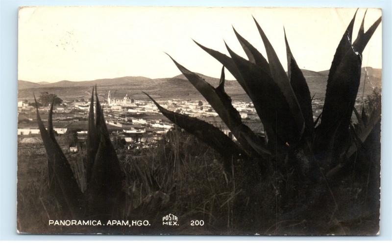 *1940s Apam Mexico Panorama City Town View Cactus Vintage Photo Postcard C81