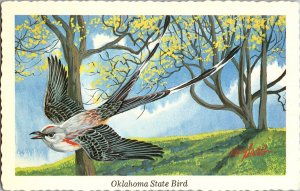 Scissor-Tailed Flycatcher, Oklahoma State Bird by Ken Haag Postcard L70