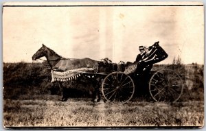 Couple Driving In A Horse Drawn Wagon Postcard
