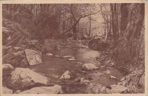 Belgium Nonceveux-Sedoz Vallon du Ninglinspo 1937