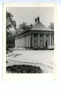 167765 Germany DRESDEN Pillnitz Castle old REAL PHOTO on Mat