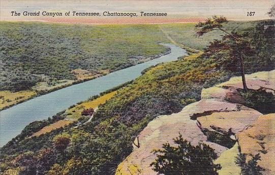 Tennessee Chattanooga The Grand Canyon Of Tennessee Albertype