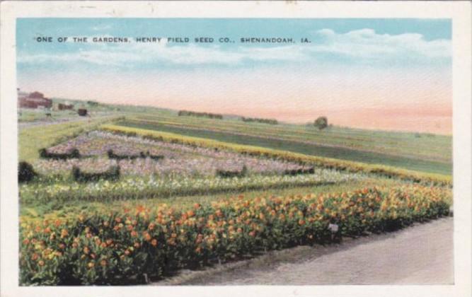 Iowa Shenandoah One Of The Gardens Henry Field Seed Company