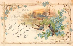 B252 Greetings Gruss aus 1900 Swallow Birds Forget-me-not Flower House postcard