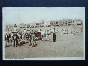 Somerset BURNHAM ON SEA The Donkeys c1940s Postcard by Dearden & Wade