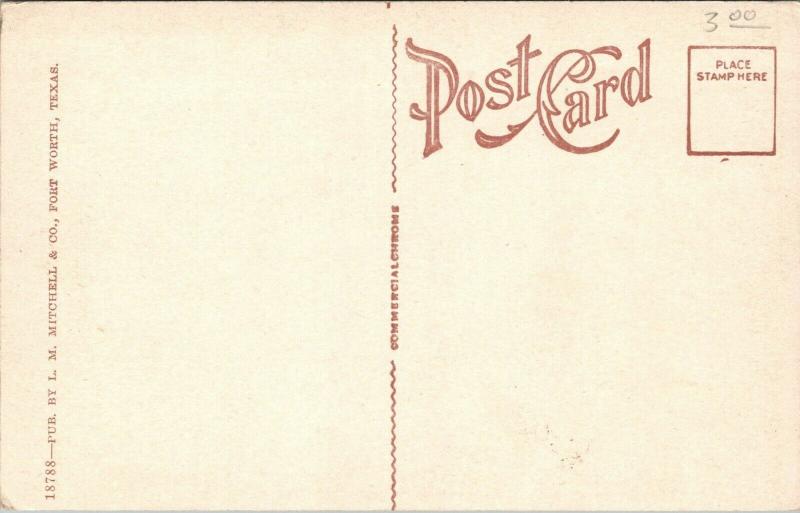 Fort Worth TX~Seventh Street~Ruby Billiards & Pool Hall~Candy Cart Vendor~1920s