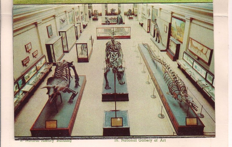 Smithsonian Institution Washington DC, DINOSAUR, Museum, Zoo, Souvenir Folder
