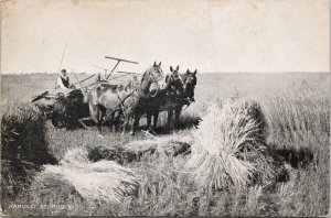 Roblin Manitoba Harvest at Roblin MB Farming Agriculture JH Clarke Postcard H29