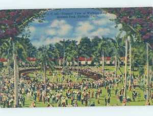 Pre-Chrome HORSE RACING SCENE Hialeah - Near Miami Beach Florida FL AG5595