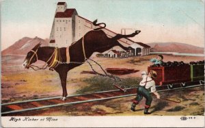 High Kicker at Mine Mule Pulling Coal Mining Driver Unused Postcard H33 *as is