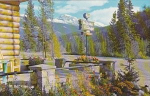 Canada View Of Mount Tekarra From Alpine Village Jasper National Park Alberta