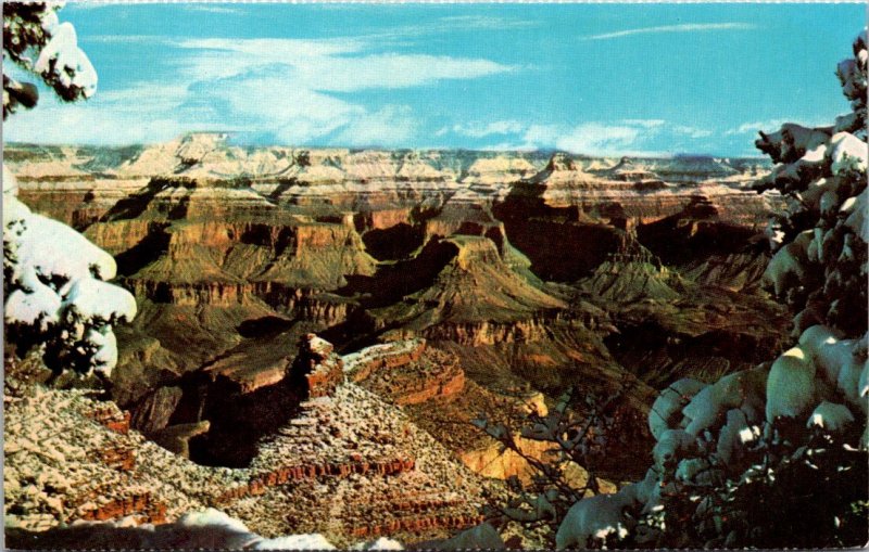 Arizona, Grand Canyon - Snow-Capped Pines - [AZ-366]