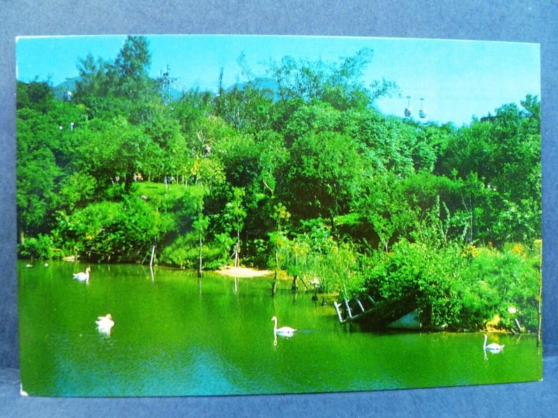 Postcard China Hong Kong The Ocean Park at Aberdeen