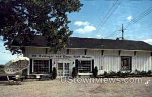 Of Cabbages and Kings Gift Shoppe - Indian River, Michigan MI Postcard
