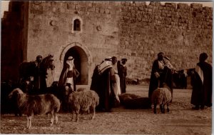 Mint Israel Judaica RPPC Real Picture Postcard Jerusalem Herods Gate