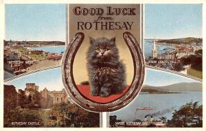 BR99783 rothesay castle bay cat  scotland