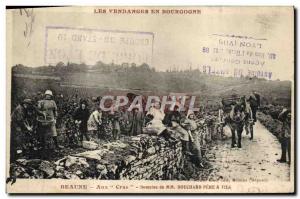 Old Postcard Wine Harvest Beaune Aux Cras Domaine Bouchard Pere & Fils Bourgogne