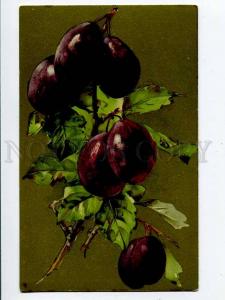 257250 Sweet PLUM  by KLEIN vintage Russia GOM #1337 PC