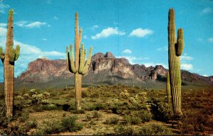 Arizona Mesa Superstition Mountains and Giant Saguaro Cactus