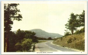 Postcard - Skyline Drive - Virginia