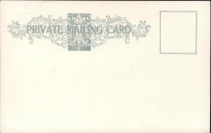 Lunenburg Nova Scotia Apple Tree Vintage Postcard