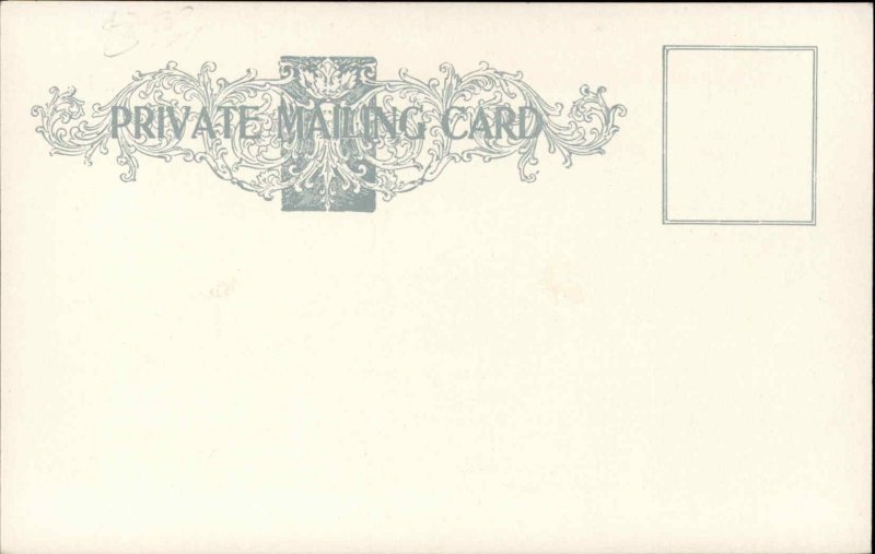 Lunenburg Nova Scotia Apple Tree Vintage Postcard