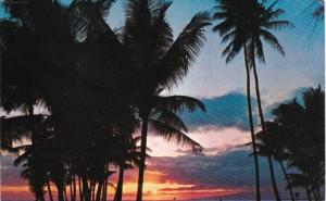 Hawaii Beautiful Hawaiian Sunset