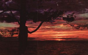 Vintage Postcard Sunset Over the River Wisconsin Dells Wisconsin WI H. H. Bennet