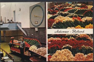 Netherlands Postcard - Aalsmeer - Interior of The Flower Auction  BH5905