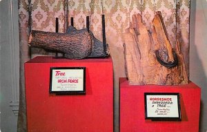 Ripley's Believe it or Not Museum - St Augustine, Florida FL  