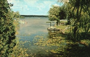 Vintage Postcard Cool Reflections of Trees Along Channel to Horsehead Lake Mich.