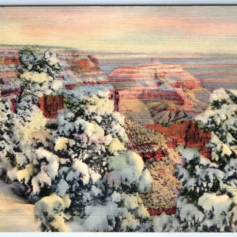 c1940s Grand Canyon AZ Winter Snow Weird Juniper Linen PC Memo from Kingman A272