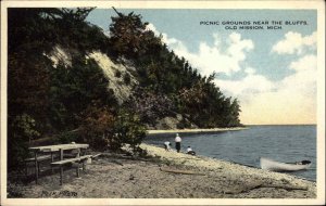Old Mission Michigan MI Picnic Grounds Vintage Postcard