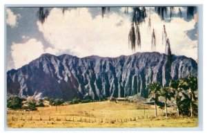 HONOLULU, HI Hawaii ~ CLIFFS on OAHU  c1940s  Mike Roberts  Postcard