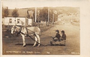 J16/ Eagle Colorado RPPC Postcard c1910 Donkey Wagon Kids Homes 68