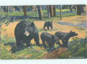 Linen BLACK BEARS - MOTHER BEAR AND CUBS AC6981