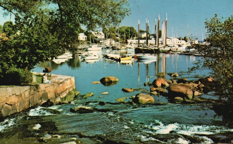 Vintage Postcard View Harbor & Falls From Balcony Of Smiling Cow Camdem Maine ME