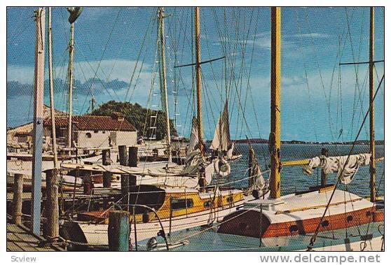 Fishing Club, Sailboats docked, Cartagena, Colombia, 40-60s