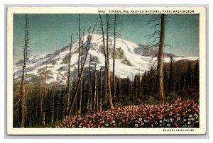 Timberline Mount Rainier National Park Washington Linen Postcard N25