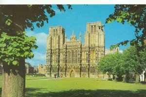 Somerset Postcard - The Cathedral - Wells - Ref TZ10698