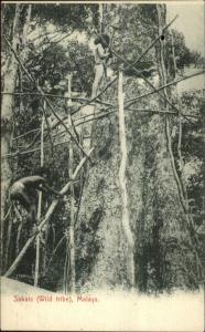 Sakai People 'Wild Tribe' Malaya - Sumatra? c1910 Postcard ETHNOGRAPHY