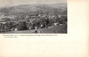 Newark Valley New York Pattersons Hill Birdseye View Antique Postcard K89183