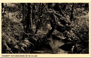 Ongerpet Natuurschoon Op De Veluwe WB Postcard VTG UNP Vintage Unused 